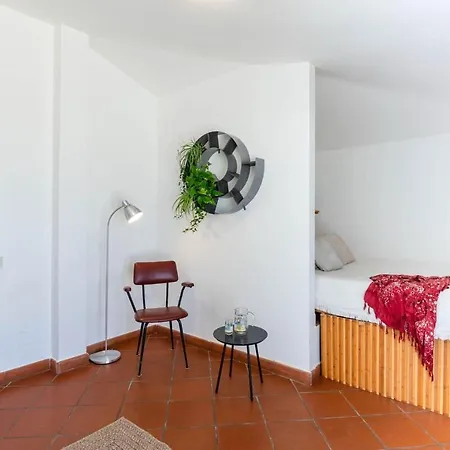 Apartment Attico In Centro Con Terrazze Vista Mare *